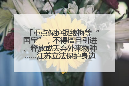 重点保护银缕梅等“国宝”，不得擅自引进、释放或丢弃外来物种……江苏立法保护身边的生物“朋友圈”